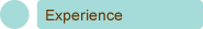 experience