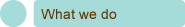 what we do