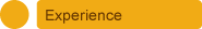 experience